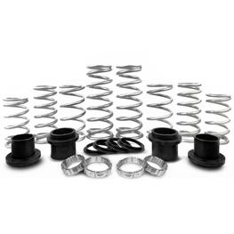 MTS Offroad Polaris RZR Spring Kit