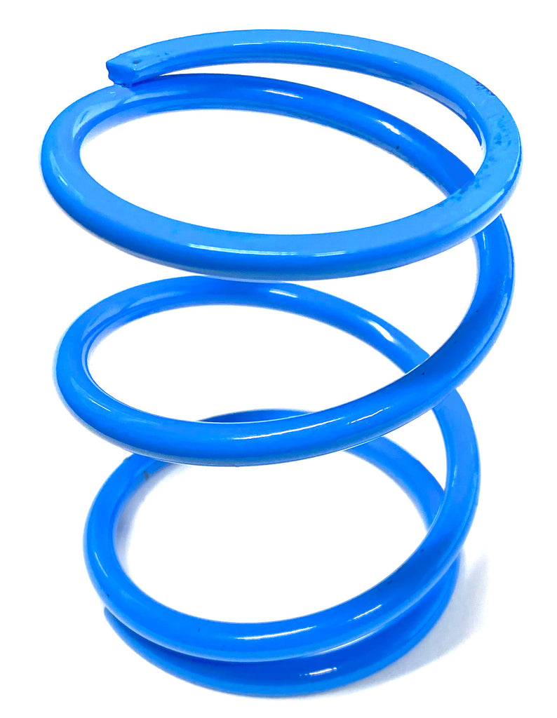 RZR XPT & RS1 Primary Springs